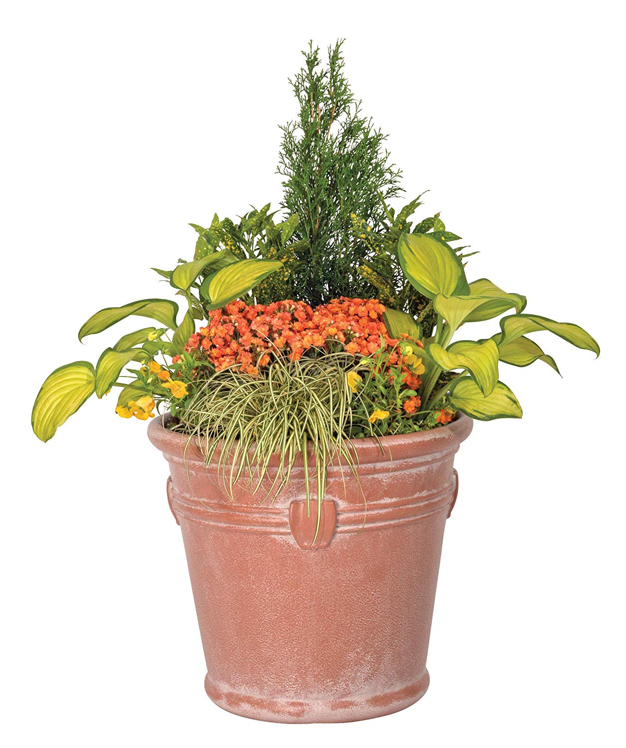 Suncast Waterton 18 Inch Resin Round Flower Pot Planter, Terracotta (Used)
