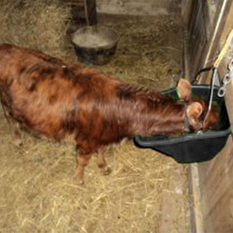 Little Giant 10-Quart Durable Plastic Flat Back Livestock Feed Bucket, Black