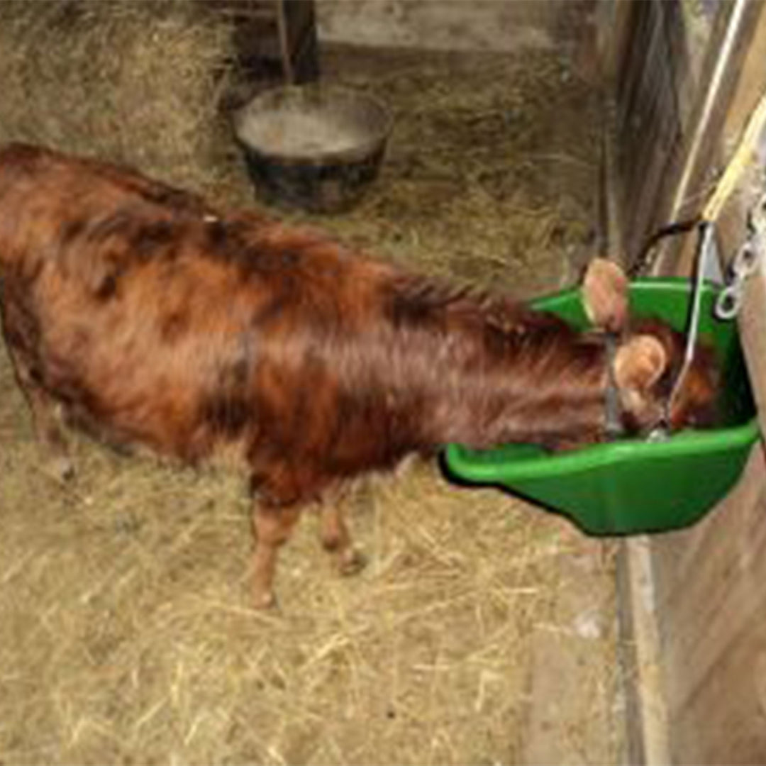 Little Giant 20-Quart Plastic Flat Back Livestock Feed Bucket, Green (Open Box)