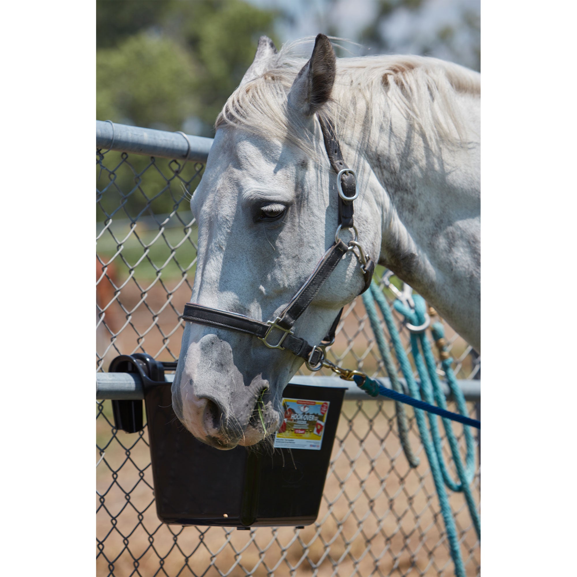 Little Giant Heavy Duty 15 Quart Mountable Plastic Hook Feeder, Black (Open Box) - VMInnovations