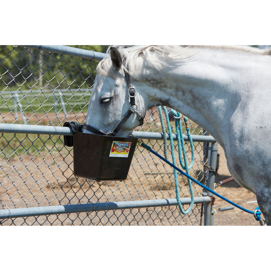 Little Giant Heavy Duty 15 Quart Mountable Plastic Hook Feeder, Black (Open Box) - VMInnovations