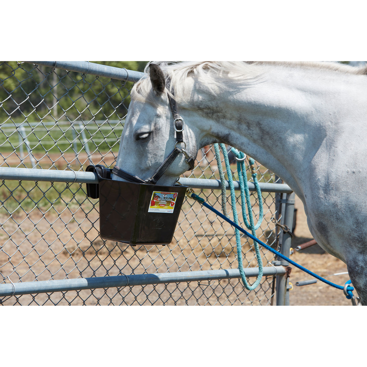 Little Giant Heavy Duty 15 Quart Mountable Plastic Hook Feeder, Black (Open Box) - VMInnovations