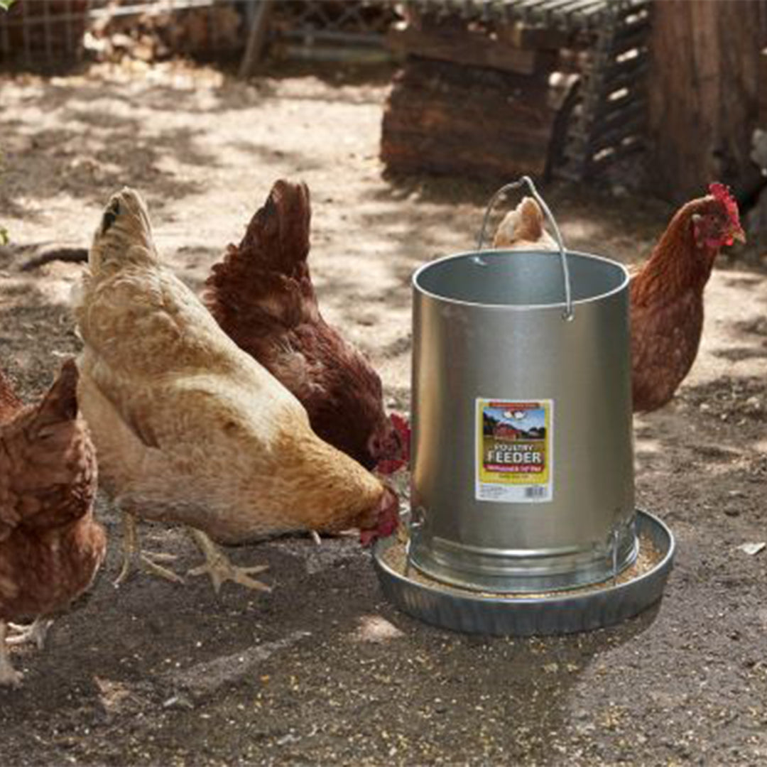 Little Giant 30-Pound Floor Space Saving Hanging Metal Poultry Feeder - VMInnovations