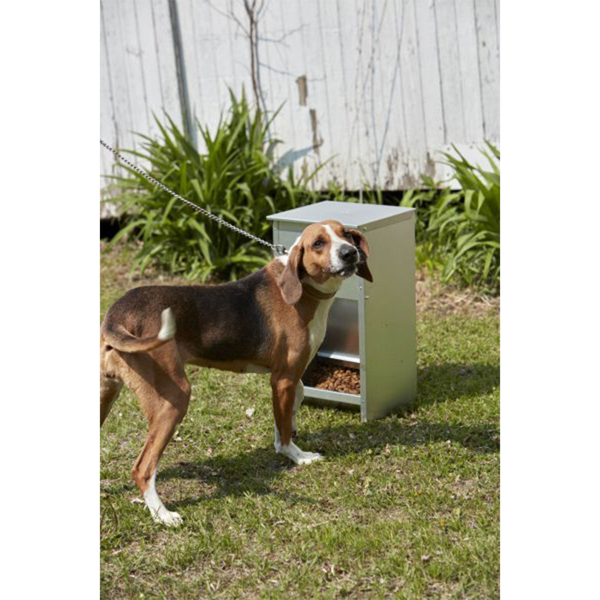 Little Giant Dry Food Automatic Steel Dog Feeder Chow 25 Pound Capacity (Used) - VMInnovations