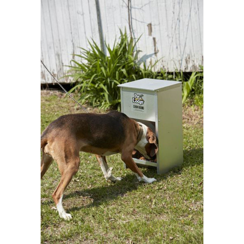 Little Giant Dry Food Steel Dog Feeder Chow Hound 25 Pound Capacity (Open Box)