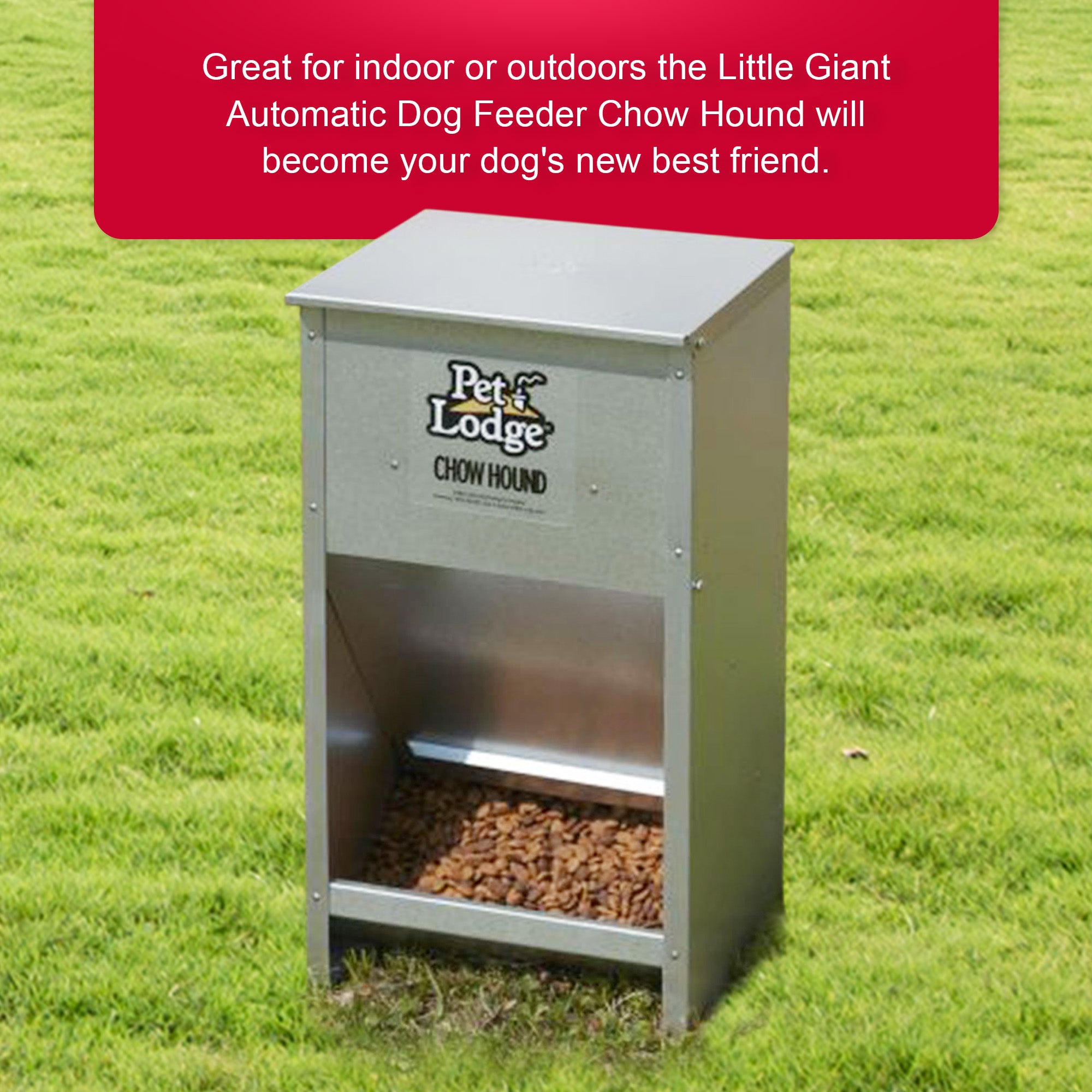 Pet Lodge Dry Food Automatic Steel Dog Feeder Chow Hound 25lb Capacity (Used) - VMInnovations