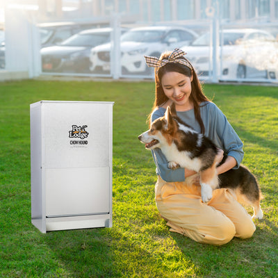 Little Giant Dry Food Automatic Steel Dog Feeder Chow 50lb Capacity (Damaged) - VMInnovations