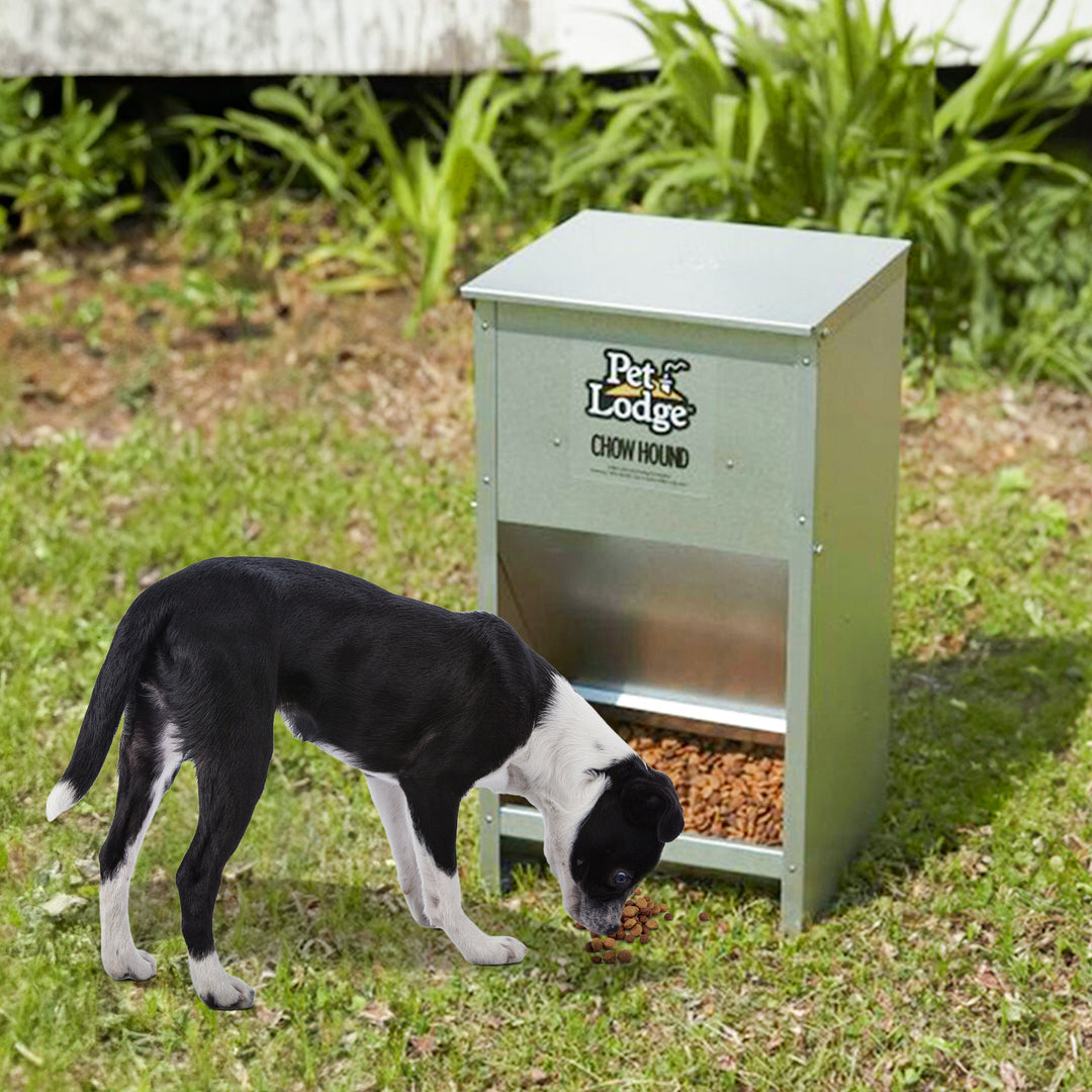 Pet Lodge Dry Food Automatic Steel Dog Feeder Chow Hound w/ 50 Pound Capacity