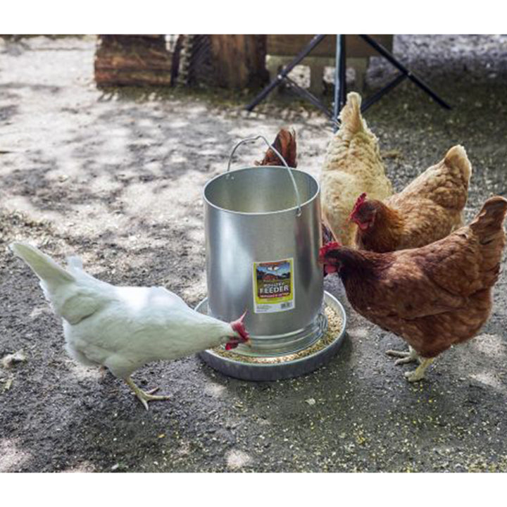 Little Giant 30-Pound Floor Space Saving Hanging Metal Poultry Feeder - VMInnovations