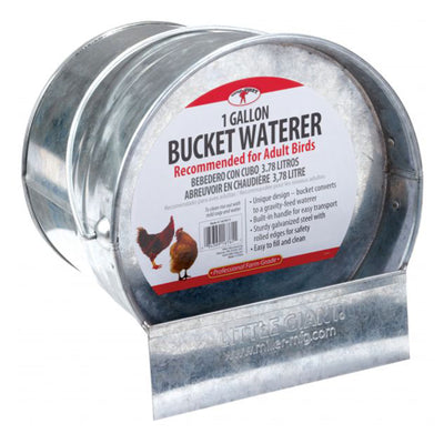 Little Giant 1-Gallon Galvanized Steel Poultry Bucket Waterer w/ Built-In Handle - VMInnovations
