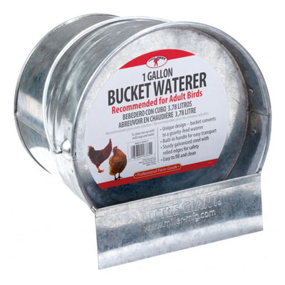 Little Giant 1-Gallon Galvanized Steel Poultry Bucket Waterer w/ Built-In Handle