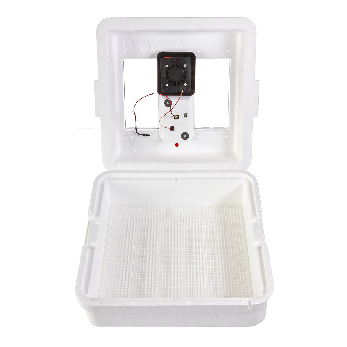 Little Giant Digital Still Air Incubator w/ LCD Display for 41 Eggs (Open Box)