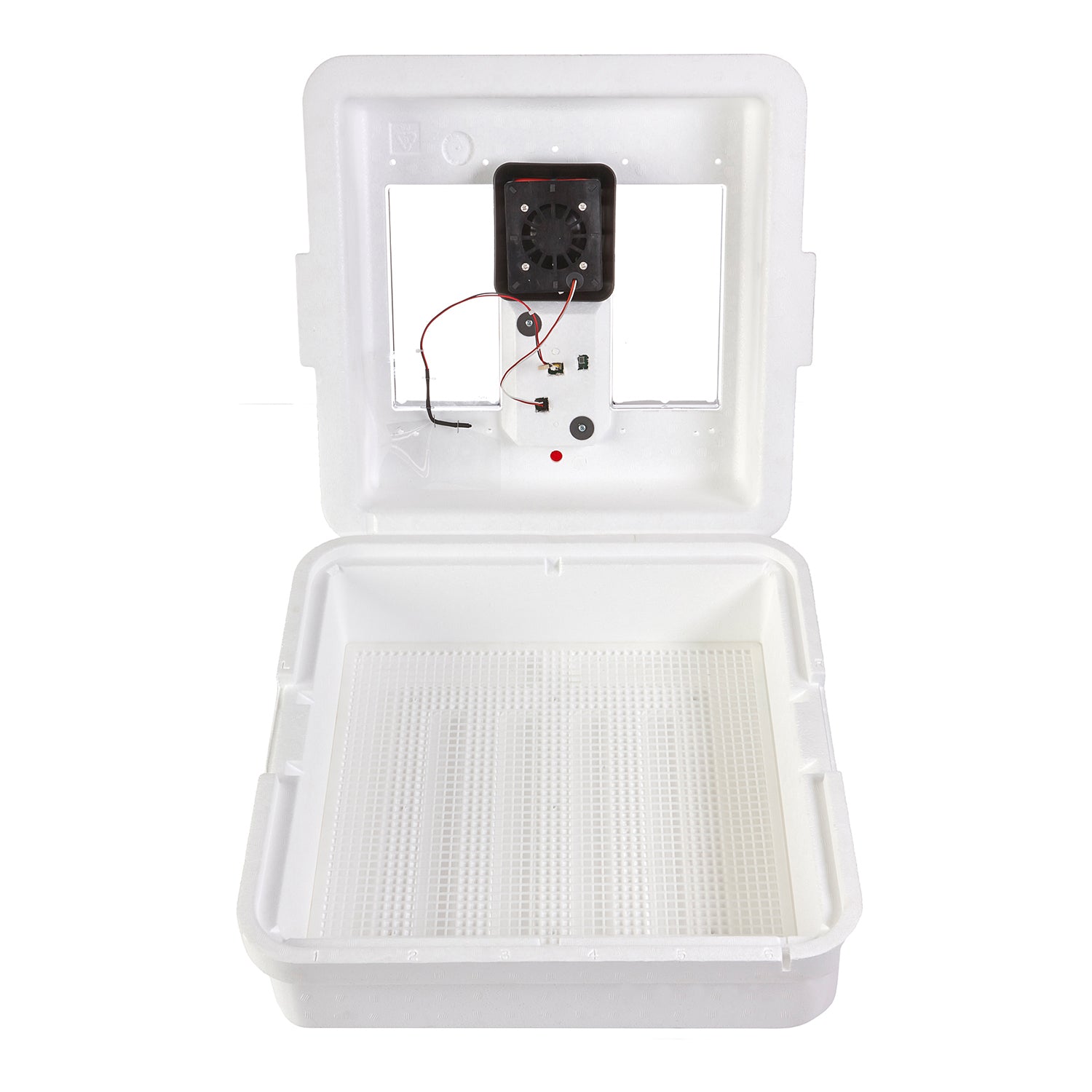 Little Giant 9300 Digital Still Air Incubator w/ LCD Display, 41 Eggs (2 Pack) - VMInnovations