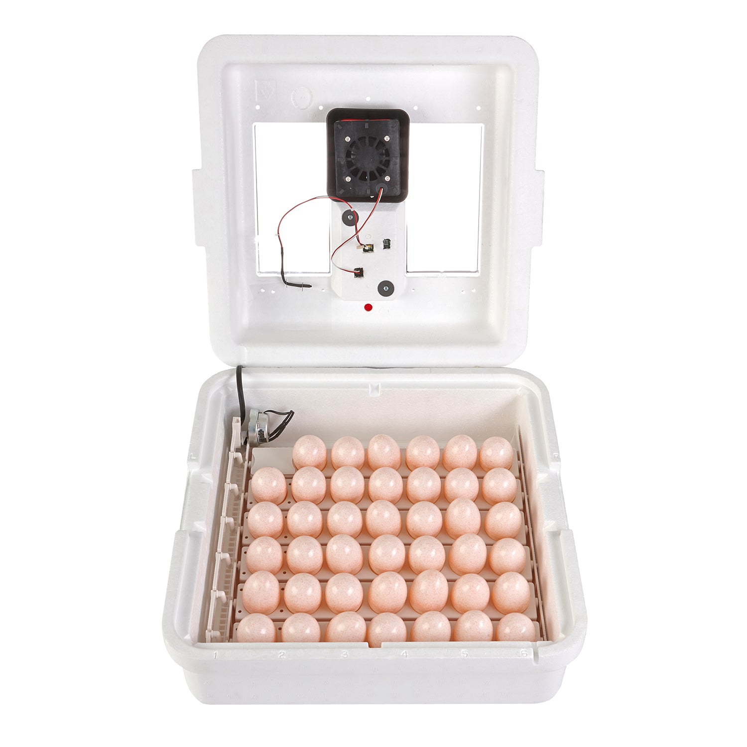 Little Giant 9300 Digital Still Air Incubator w/ LCD Display for 41 Eggs, White - VMInnovations