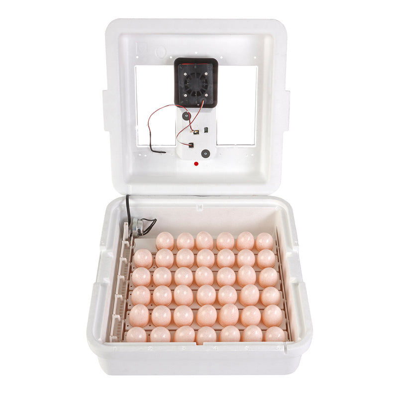Little Giant 9300 Digital Still Air Incubator w/ LCD Display for 41 Eggs, White