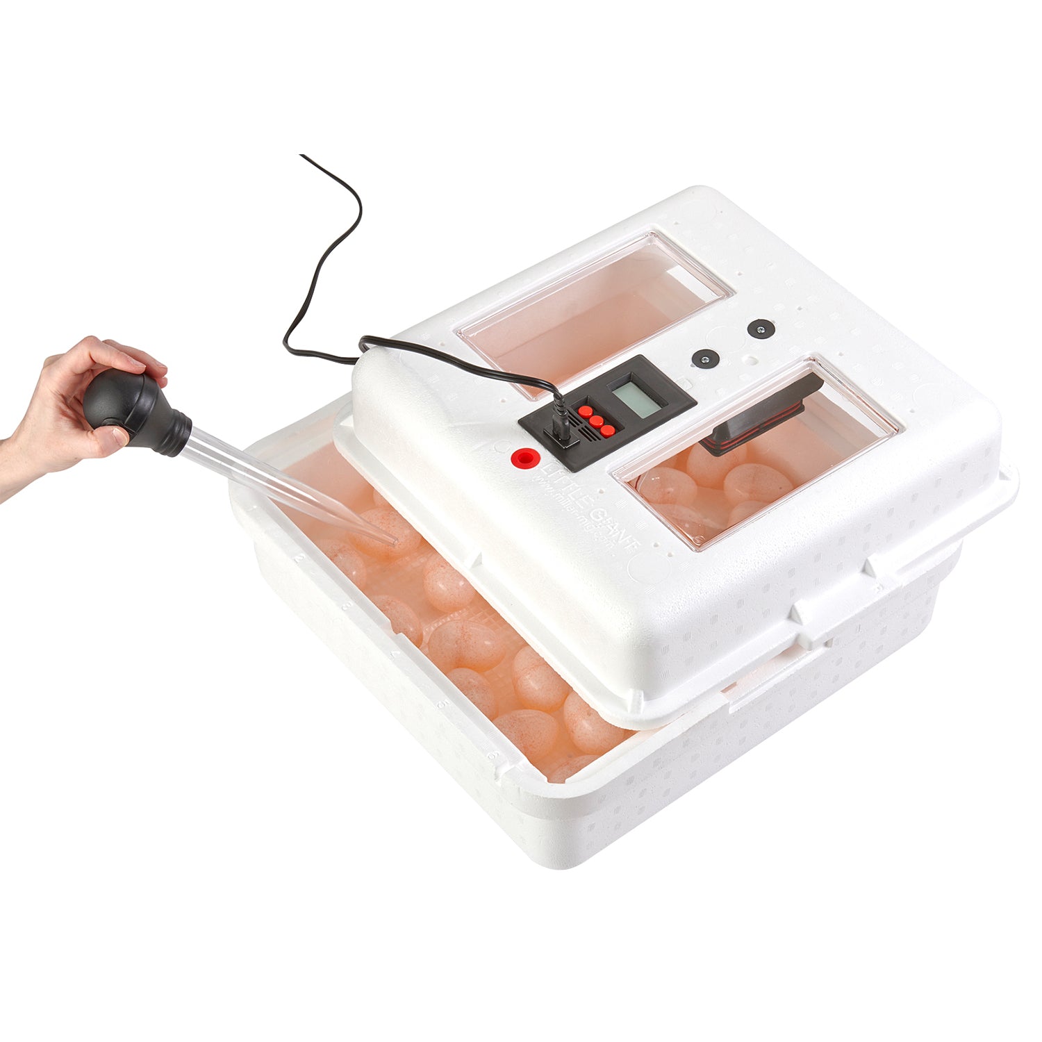 Little Giant 9300 Digital Still Air Incubator w/ LCD Display, 41 Eggs (2 Pack) - VMInnovations