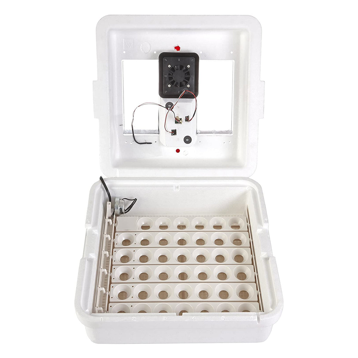 Little Giant Deluxe Digital Incubator w/Fan & Automatic Egg Turner (Open Box) - VMInnovations