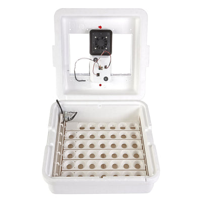 Little Giant Deluxe Digital Incubator with Fan and Automatic Egg Turner (Used) - VMInnovations