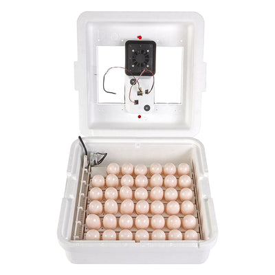 Little Giant 11300 Deluxe Digital Incubator with Fan and Automatic Egg Turner