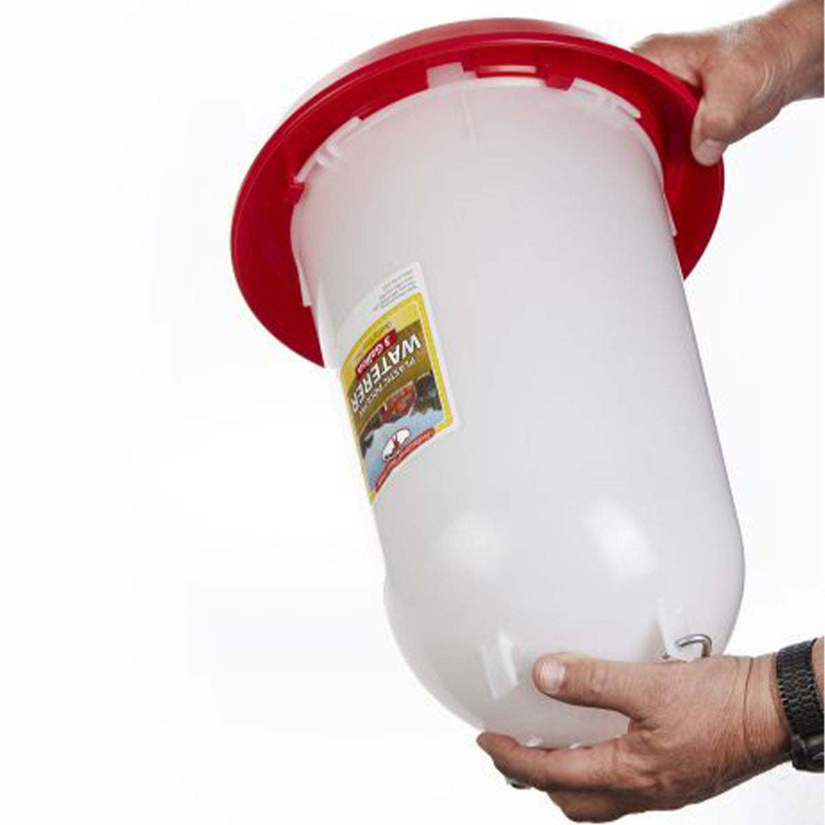 Little Giant 3-Gallon Heavy-Duty Plastic Gravity Fed Poultry Waterer (6 Pack)
