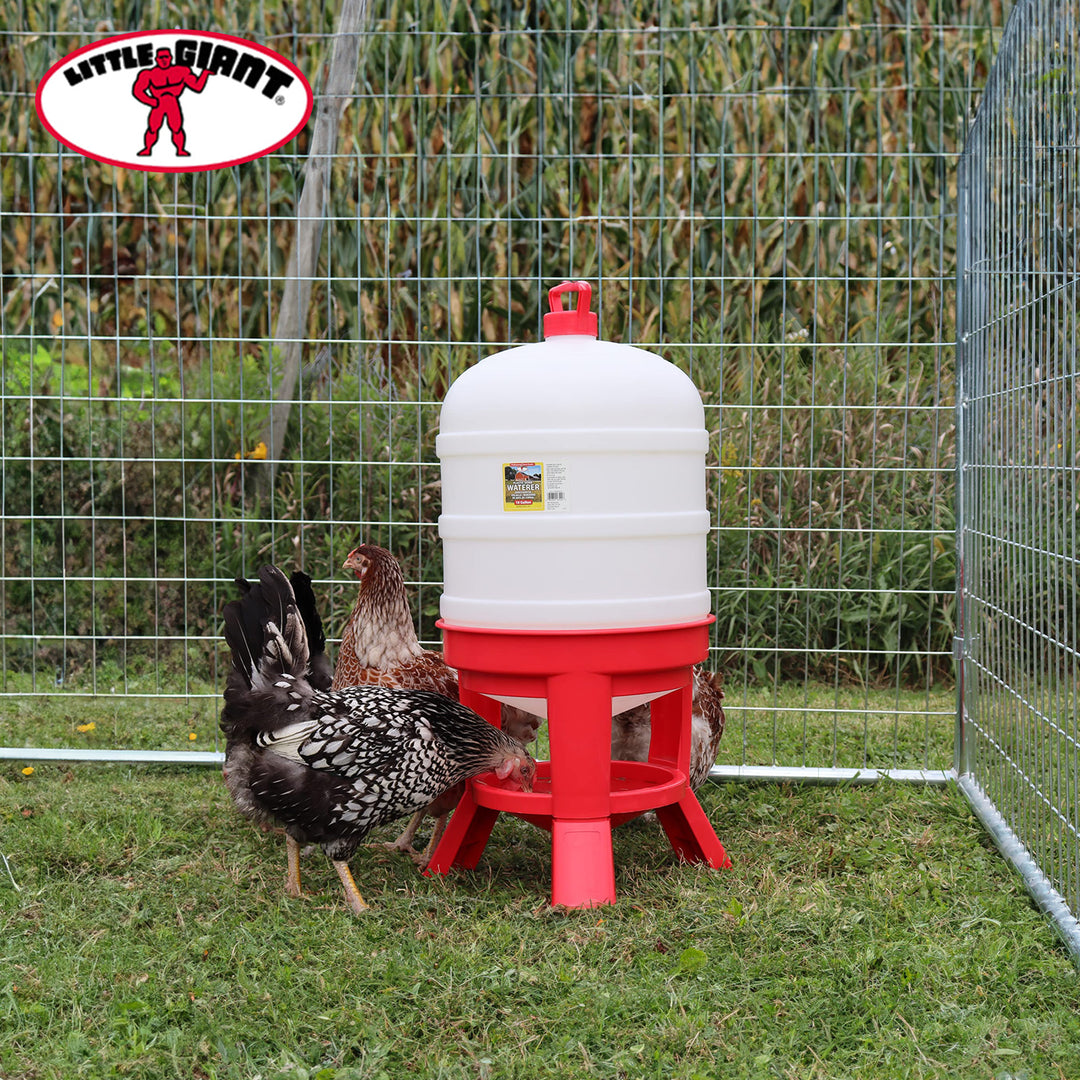 Little Giant 10 Gallon Tank Heavy Duty Poultry Chicken Gravity Waterer(Open Box)