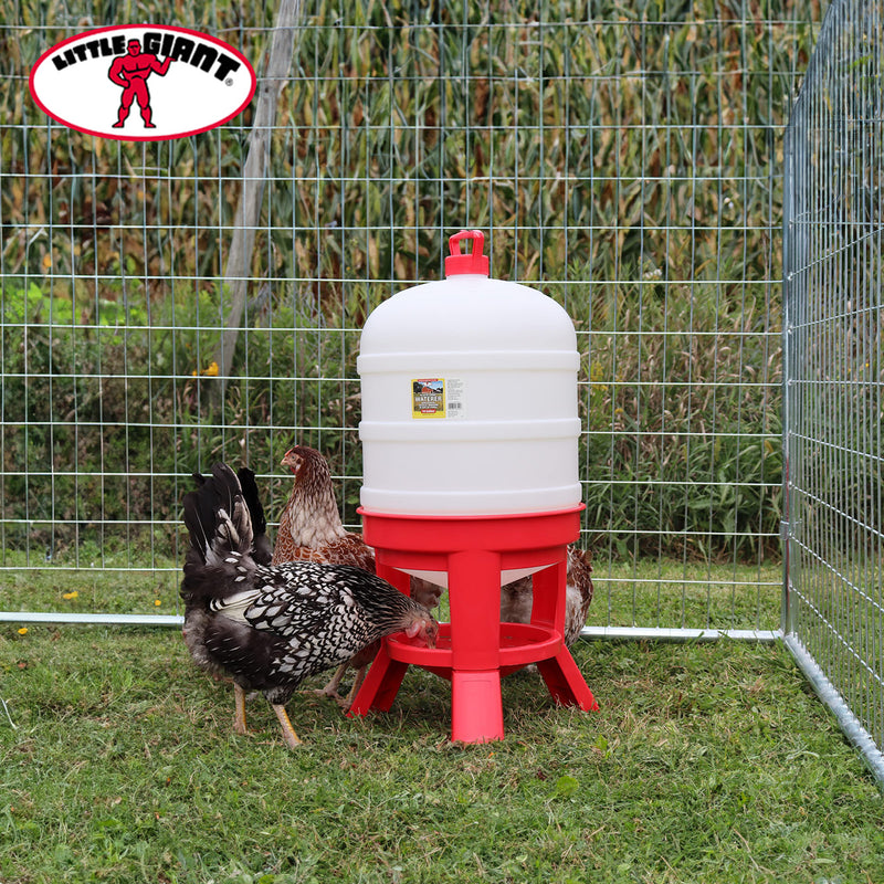 Little Giant DOMEWTR10 10 Gallon Tank Heavy Duty Poultry Chicken Gravity Waterer