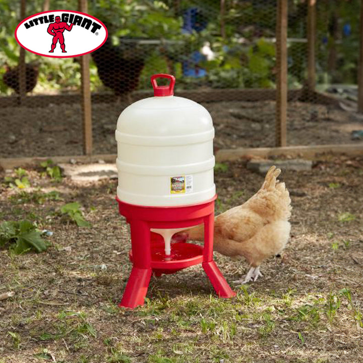 Little Giant 10 Gallon Tank Heavy Duty Poultry Chicken Gravity Waterer (Used)