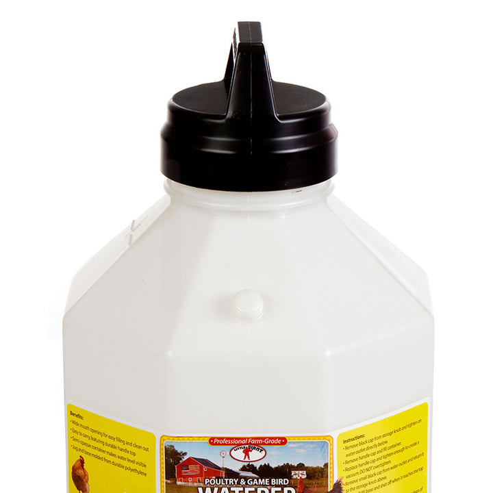 Little Giant PPF5 5 Gallon Automatic Poultry Waterer for Chickens, Red (4 Pack)