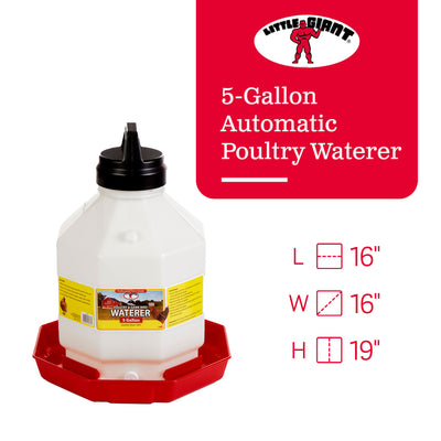 Little Giant PPF5 5 Gallon Capacity Automatic Poultry Waterer for Chickens, Red