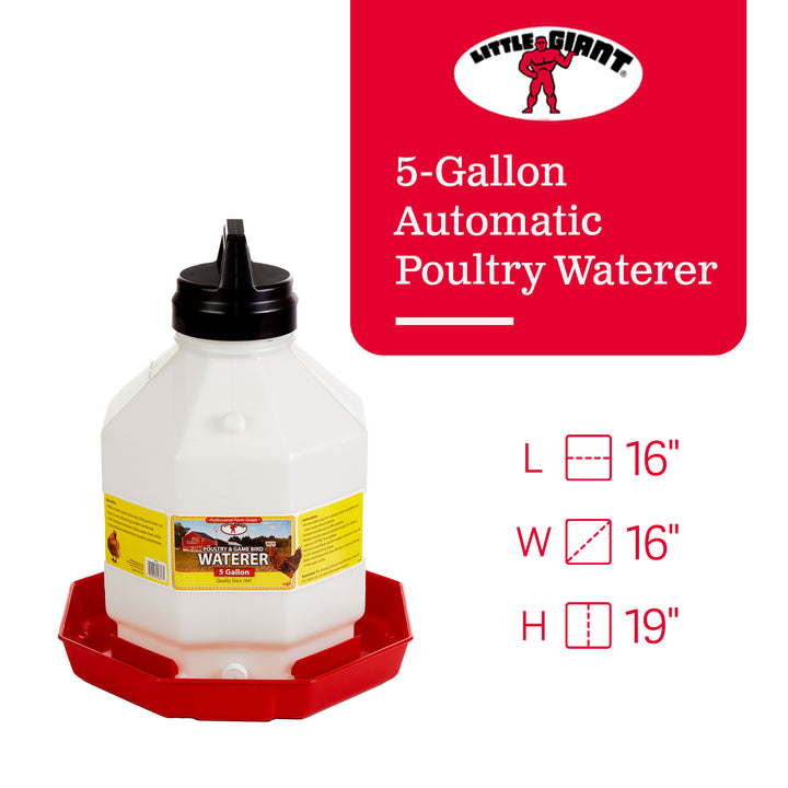 Little Giant PPF5 5 Gallon Automatic Poultry Waterer for Chickens, Red (2 Pack)