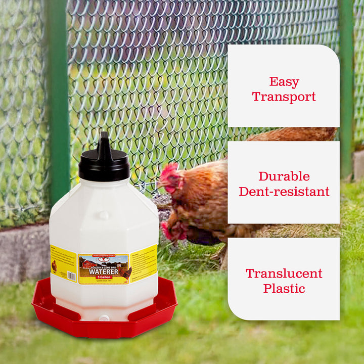 Little Giant PPF5 5 Gallon Automatic Poultry Waterer for Chickens, Red (2 Pack)