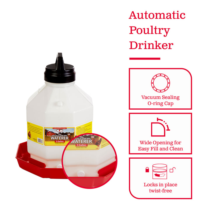 Little Giant PPF5 5 Gallon Automatic Poultry Waterer for Chickens, Red (4 Pack) - VMInnovations