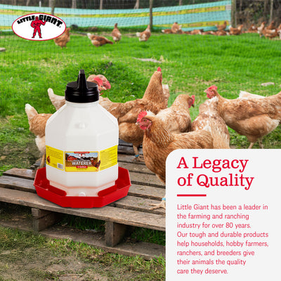 Little Giant 5 Gallon Capacity Automatic Poultry Waterer for Chickens (Open Box) - VMInnovations