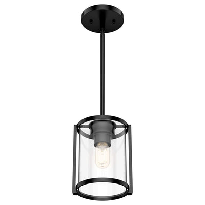 Hunter Fan Company Astwood 1 Bulb Mini Hanging Pendant Light Fixture, Black
