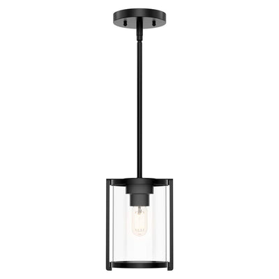 Hunter Fan Company Astwood 1 Bulb Mini Hanging Pendant Light Fixture, Black