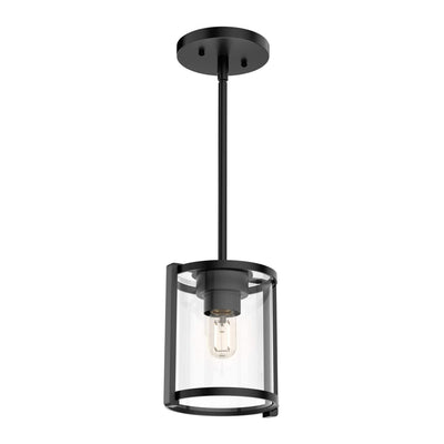 Hunter Fan Company Astwood 1 Bulb Mini Hanging Pendant Light Fixture, Black