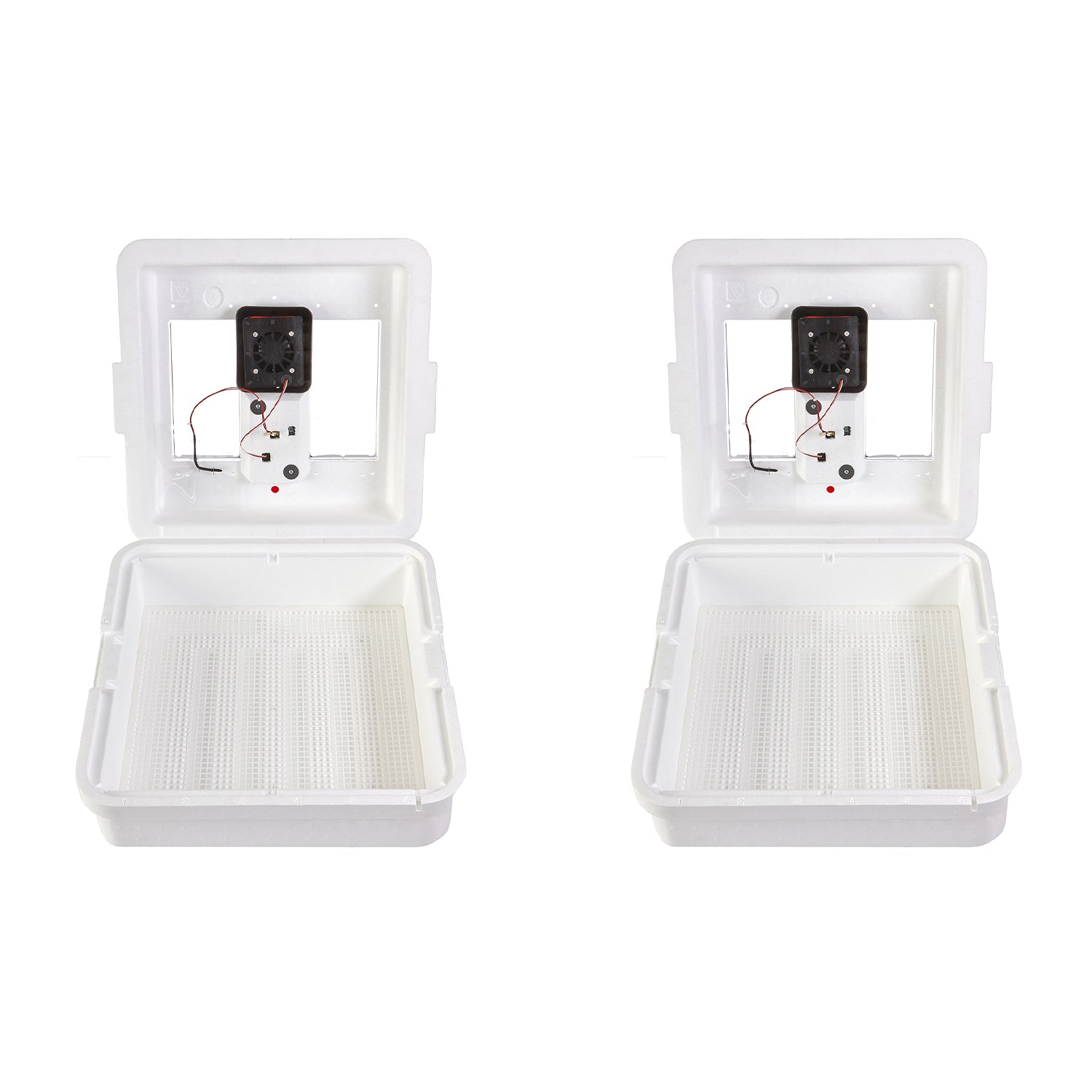 Little Giant 9300 Digital Still Air Incubator w/ LCD Display, 41 Eggs (2 Pack) - VMInnovations