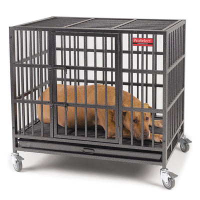 ProSelect Empire Steel Cage for Large Dogs with Tray and Wheels, Black (Used)