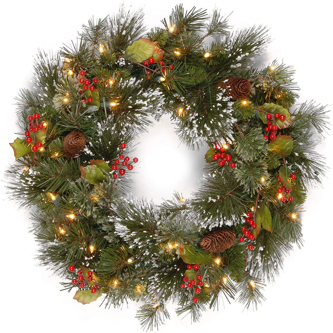 National Tree Company 24 Inch Wintry Pine Wreath with Lights and Decor (Used)