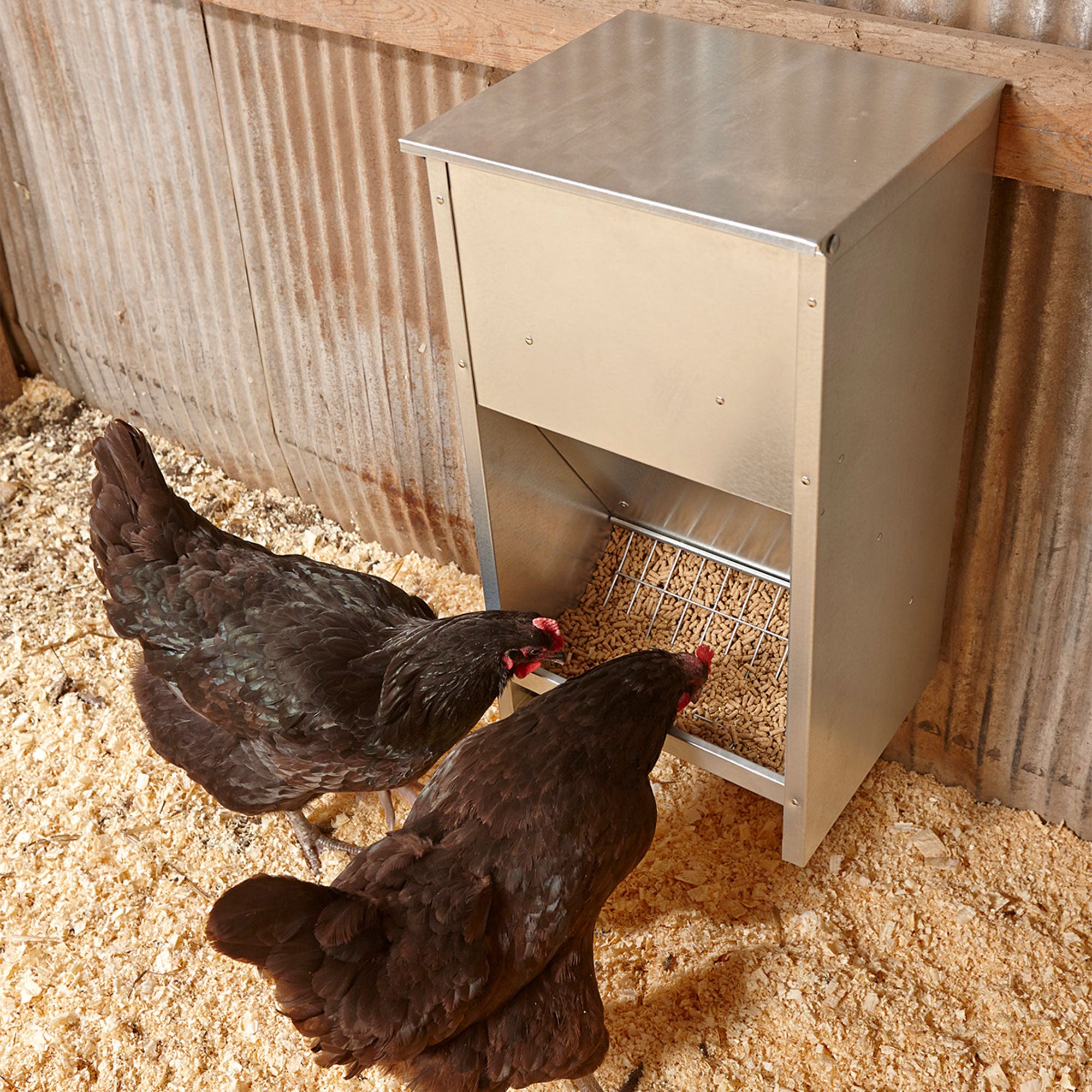 Little Giant 25 lb Capacity Galvanized Steel Poultry Feeder w/Grid (Open Box) - VMInnovations