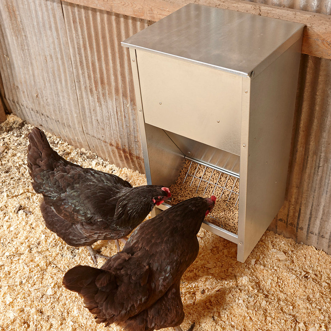 25 lb Large High Capacity Galvanized Steel Poultry Feeder w/Grid (Used)