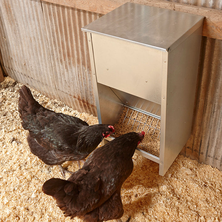 25 lb Large High Capacity Galvanized Steel Poultry Feeder w/Grid (Used)