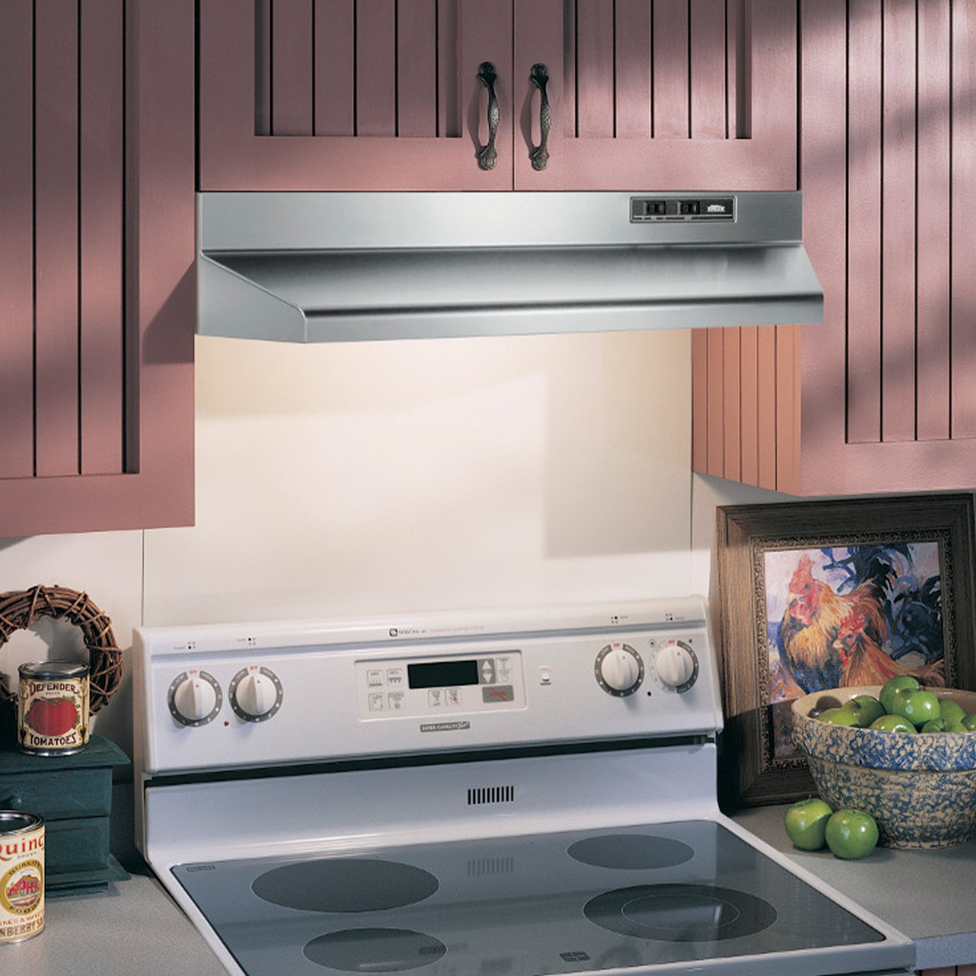 Broan-NuTone 24-Inch Ducted 2-Speed Under-Cabinet Range Hood, Stainless Steel