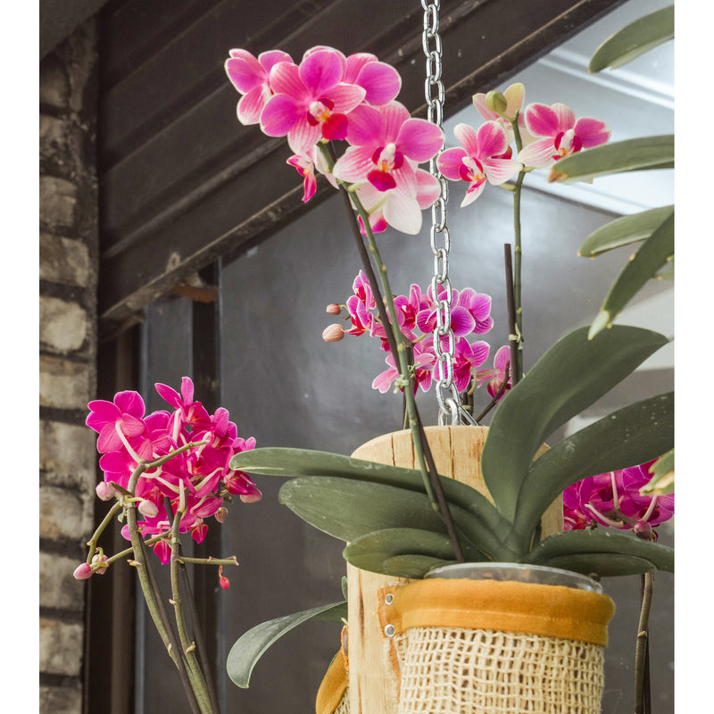 SunGro Black Gold Natural and Organic Houseplant Orchid Potting Mix, 8 Quart Bag