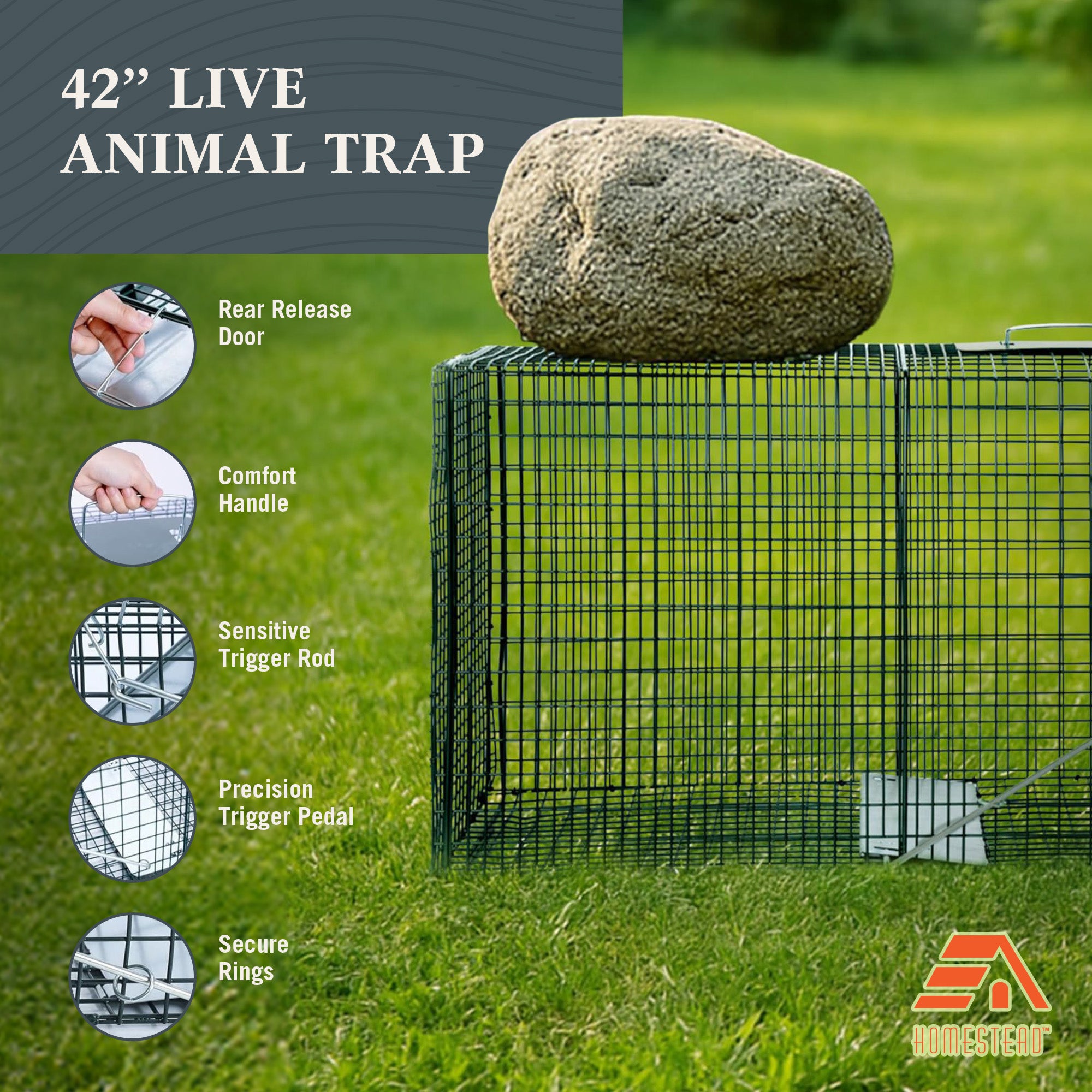 Homestead 42'' Live Animal Trap, Quick Set Steel Cage for Humane Catch & Release - VMInnovations