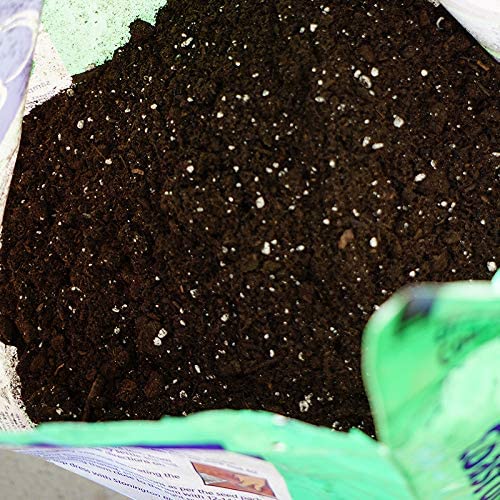 Coast of Maine Organic Seed Starter for Root Plant Cuttings, 16 Qt (4 Pack)
