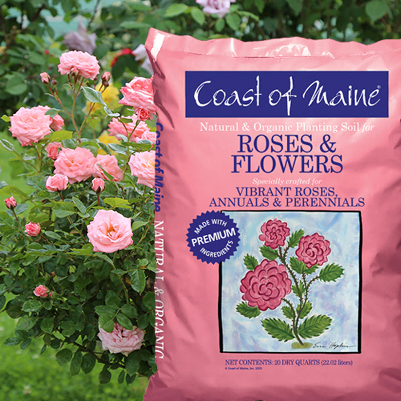 Coast of Maine Organic Potting Soil for Roses and Flowers, 20 Quart Bag (6 Pack)