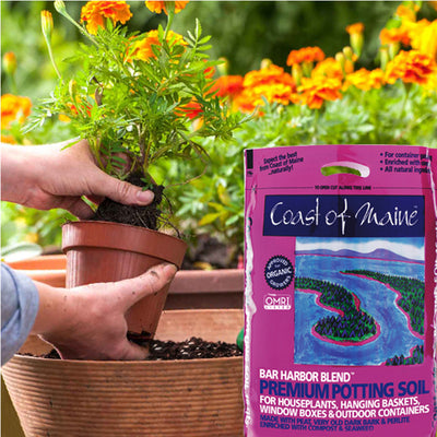 Coast of Maine Bar Harbor Blend Organic Potting Soil, 8 Quart Bag (4 Pack)