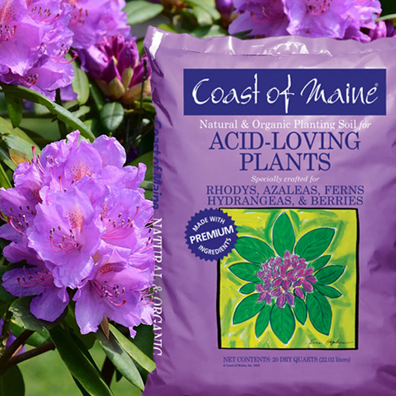 Coast of Maine Organic Natural Potting Soil for Acid Loving Plants, 20 Quart Bag