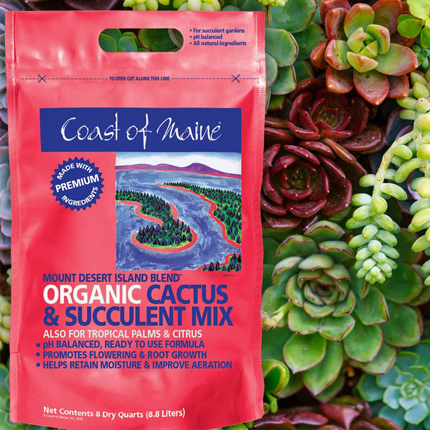 Coast of Maine Mount Desert Organic Cactus Succulent Mix, 8 Quart (4 Pack) - VMInnovations